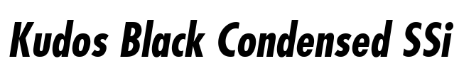 Kudos Black Condensed SSi Font Image