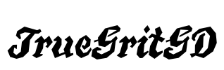 TrueGritGD Font Image