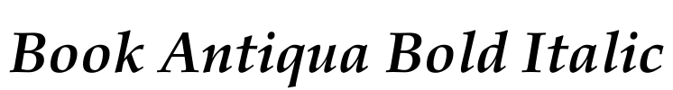 Book Antiqua Bold Italic