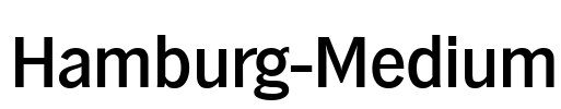 Hamburg-Medium Font Image