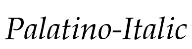 Palatino-Italic