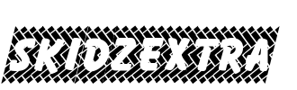 SkidzExtra Font Image