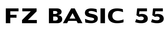 FZ BASIC 55