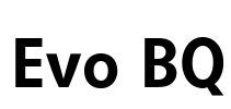 Evo BQ