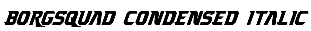 Borgsquad Condensed Italic