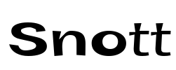 Snott Font Image