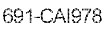 691-CAI978