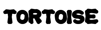 tortoise Font Image
