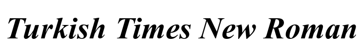 Turkish Times New Roman