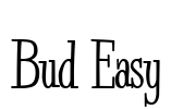 Bud Easy Font Image