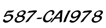 587-CAI978