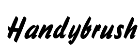 Handybrush