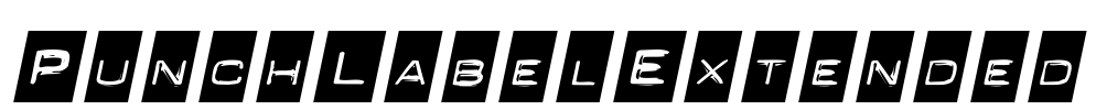PunchLabelExtended