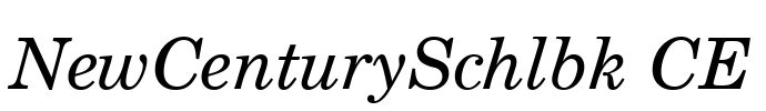 NewCenturySchlbk CE