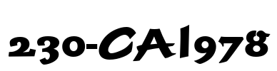 230-CAI978 Font Image
