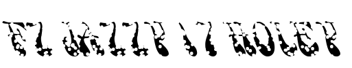 FZ JAZZY 17 HOLEY Font Image