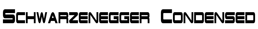 Schwarzenegger Condensed Font Image
