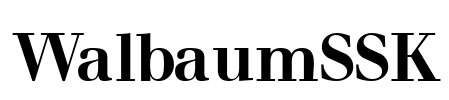 WalbaumSSK Font Image