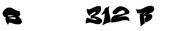Smasher 312 Black