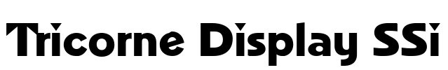 Tricorne Display SSi