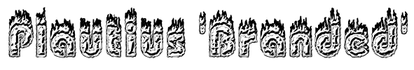 Plautius 'Branded'