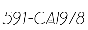 591-CAI978