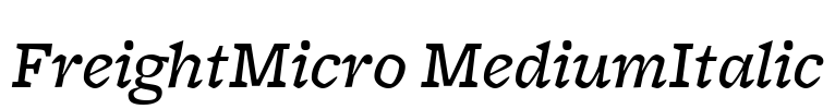 FreightMicro MediumItalic