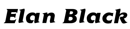 Elan Black Font Image