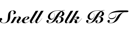 Snell Blk BT Font Image