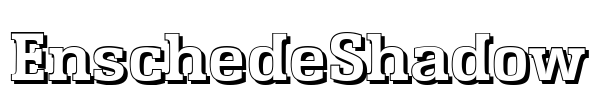 EnschedeShadow