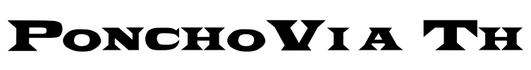 PonchoVia Th