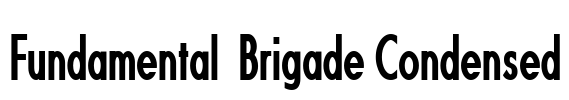 Fundamental  Brigade Condensed