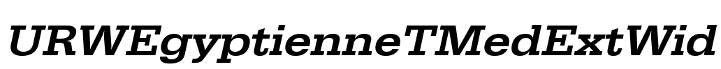 URWEgyptienneTMedExtWid Font Image