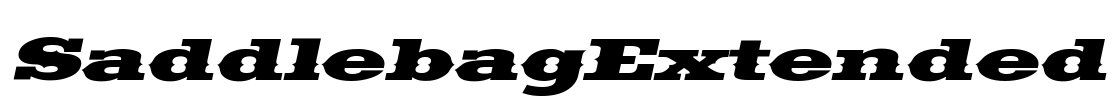 SaddlebagExtended Font Image