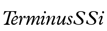 TerminusSSi Font Image