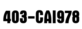 403-CAI978