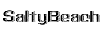 SaltyBeach Font Image