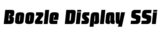 Boozle Display SSi
