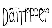 Daytripper