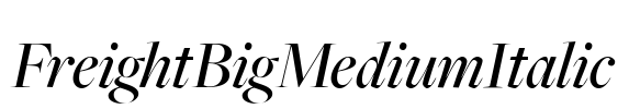 FreightBigMediumItalic Font Image