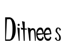 Ditnees Font Image
