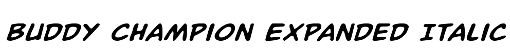 Buddy Champion Expanded Italic Font Image