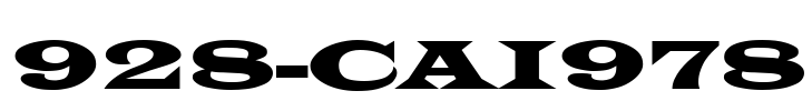 928-CAI978