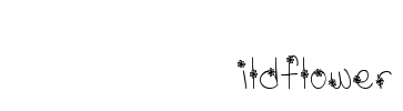MTF Wildflower Font Image