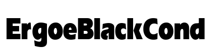 ErgoeBlackCond Font Image
