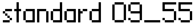standard 09_55