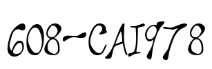 608-CAI978