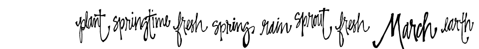 SP Springtime