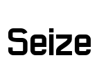 Seize Font Image