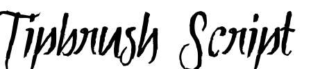 Tipbrush Script Font Image